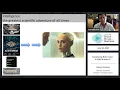 Deciphering Brain Codes to Build Smarter AI
