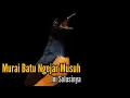 Download Lagu Murai Batu Ngejar Musuh Tidak Bunyi || Menaikan Emosi Murai Batu || Bengkel Murai Batu MP3