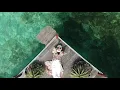 Download Lagu Surgaku Di Timur Borneo #surgakuditimurborneo #berauasik #kaltimkekinian