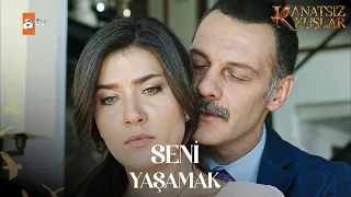 Nefise'nin kafası çok karışık! | Kanatsız Kuşlar Kolaj