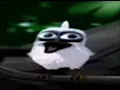 Download Lagu Bird screaming meme (bird screaming original meme)