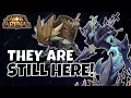 WRIZZ AND SOREN GUIDE BUILD 2024 FURRY HIPPO AFK ARENA