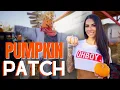 Pumpkin Patch Fun in Vegas