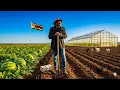 Download Lagu How I am Starting This With No Money: Rural Home Update