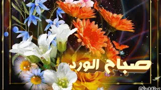 صباحكم ورد اللهم في هذا الصباح ارزقنا بركة في العمر 