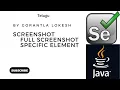 Selenium Java Tutorial 21 How to Take Screenshot in Selenium Java