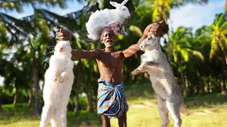 GIANT RABBIT PEPPER FRY | முயல் மிளகு வறுவல் | Traditional Village Food