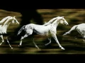 El Gaucho Digital [full version]