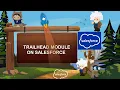 Code Builder Quick Look Salesforce Trailhead Quiz Module