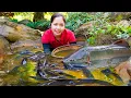 Download Lagu Harvesting 1000+ Giant Fish To Sell At The Market, Catching GIANT Fish in Field