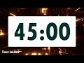 45 minute timer LOUD ALARM