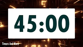 45 minute timer LOUD ALARM
