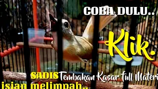 Download ini sungguh sadis..!!!!pendongkrak srdc malas bunyi ,sikatan rimba gacor tes mental MP3