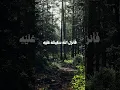 Download Lagu Soothing recitation of the Noble Quran by Sheikh Mahmoud Khalil Al-Hussary
