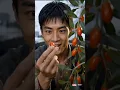 現代窮小子穿越回60年代，全家窮得吃不上飯，被全村人嫌弃嘲笑！ 誰料意外覺醒寶塔空間，種啥啥都豐收，一路逆襲成家中頂樑柱，發家致富蓋起大新房，美豔寡婦和嬌豔村花爭著搶著要嫁給他！