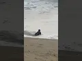 WARNING Cannon Beach Oregon king tides are back