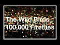 100,000 Fireflies (The Magnetic Fields cover)