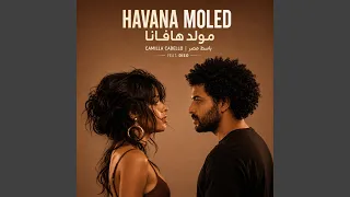 مولد الهافانا دندنها
