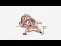【whale*tears】 小夜子 (Sayoko) | acoustic ver.