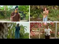 Seani B Presents D Yani Ce cile Yaksta Kvy Live from Hope Gardens Jamaica