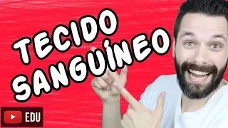 Tecido Sanguíneo - Histologia - Aula | Biologia com Samuel Cunha