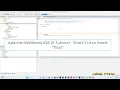 Apache NetBeans IDE 21 Tutorial - Short Cut to insert float