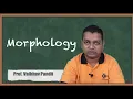 Introduction to Morphology - Morphological Image Processing