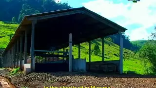 Compostagem mecânica de dejetos suínos (Legendas em inglês)