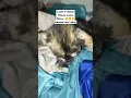 Lagu #kalbar#short#cats#catsviral #kucingviral#kucinglucu #kucingsedih#anakkucing #anakkucinglucu#kucing