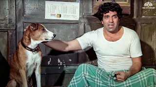 phandebaaz comedy scene dharmendra