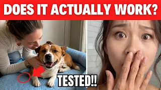 Does PawLax Work? - (HONEST REVIEW!) - PawLax Reviews - Cooling Pet Bed Mat 2026
