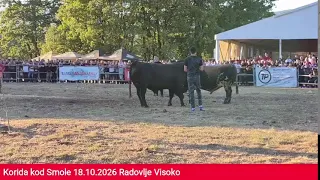 Uživo treći krug kod Jerke Posušje