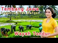 Lagu Tembang Jawa/WAYAH TANDUR/Lagunya Enak Teman Ngopi