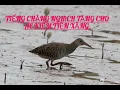 Download Lagu Tiếng chằng nghịch. tặng ae kiếm tiền xăng. fail chuẩn