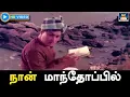 Download Lagu நான் மாந்தோப்பில் | Naan Manthoppil Song HD | எங்க வீட்டு பிள்ளை திரைப்பட பாடல் | M.G.R | HD.