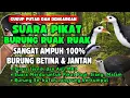Download Lagu Het geluid van de originele vogels van het originele Clear Sound #2