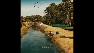 اكاد من فرط الجمال اذوب حالات واتس 