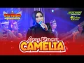Lagu CAMELIA - ANISA RAHMA | NEW SIVANA | LIVE KALISAMPURNO | SUPPORT SULTAN MUSIK