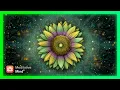 341Hz || HEART CHAKRA Healing || Attract Love || Chakra Flow Soundscape by Meditative Mind Originals