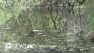 Missing 7-year-old boy found in creek later died at the scene