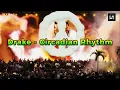 Download Lagu Drake - Circadian Rhythm (Tasty Or Not Afro House)