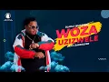 Download Lagu Dladla Mshunqisi Feat. DarkSilver  - Woza Uzizwele (Official Music Video)