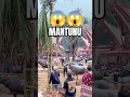Download Lagu Mantunu tradisi pemakaman adat suku Toraja