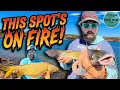 This Lake Mead Spot is ON FIRE Double-Ups 11lb Carp