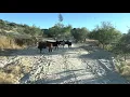 Terrible Traffic in Tucson AZ