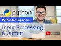 Introduction to Python Python for Beginners Input Processing Output Actuarial Science