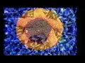 3Lux Techno video Mix: Fuse - Substance Abuse
