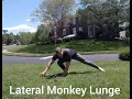 Lateral Monkey Lunge