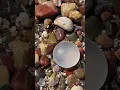 Download Lagu Clear round sea glass. #beach #clear #SeaGlass