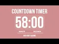 58 MINUTE COUNTDOWN TIMER WITH SOFT ALARMS